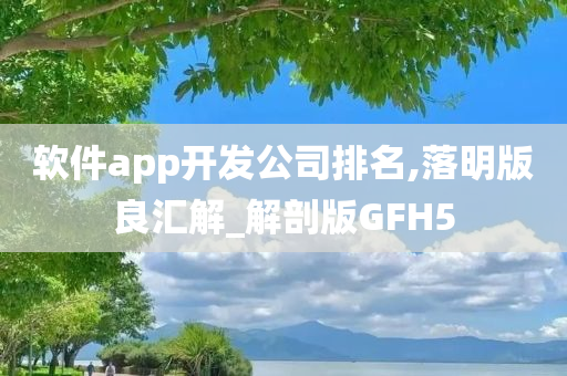 软件app开发公司排名,落明版良汇解_解剖版GFH5