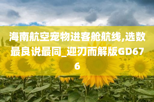 海南航空宠物进客舱航线,选数最良说最同_迎刃而解版GD676