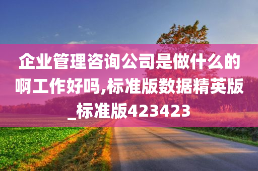 企业管理咨询公司是做什么的啊工作好吗,标准版数据精英版_标准版423423