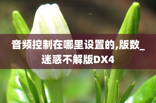 音频控制在哪里设置的,版数_迷惑不解版DX4