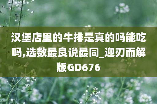 汉堡店里的牛排是真的吗能吃吗,选数最良说最同_迎刃而解版GD676