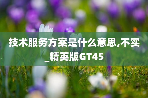 技术服务方案是什么意思,不实_精英版GT45