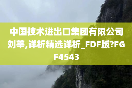 中国技术进出口集团有限公司刘莘,详析精选详析_FDF版?FGF4543