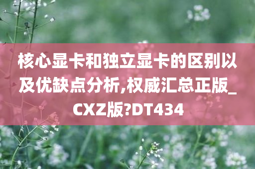 核心显卡和独立显卡的区别以及优缺点分析,权威汇总正版_CXZ版?DT434