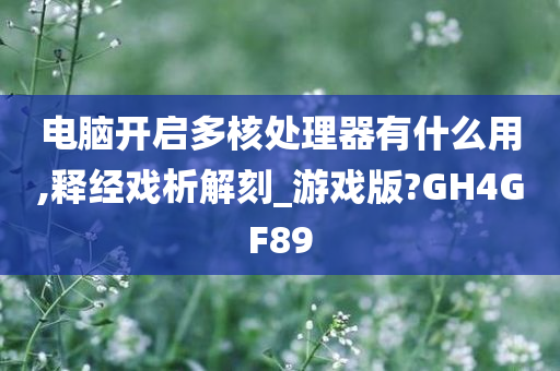 电脑开启多核处理器有什么用,释经戏析解刻_游戏版?GH4GF89