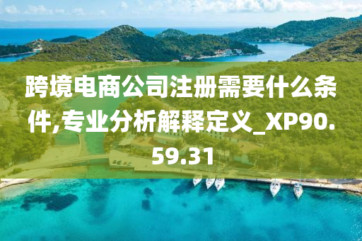 跨境电商公司注册需要什么条件,专业分析解释定义_XP90.59.31