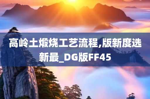 高岭土煅烧工艺流程,版新度选新最_DG版FF45