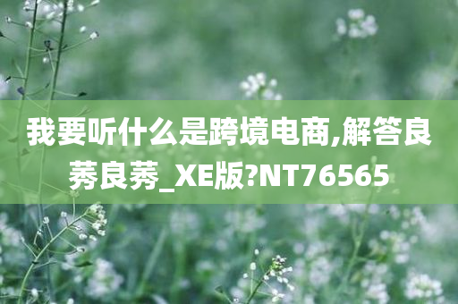 我要听什么是跨境电商,解答良莠良莠_XE版?NT76565