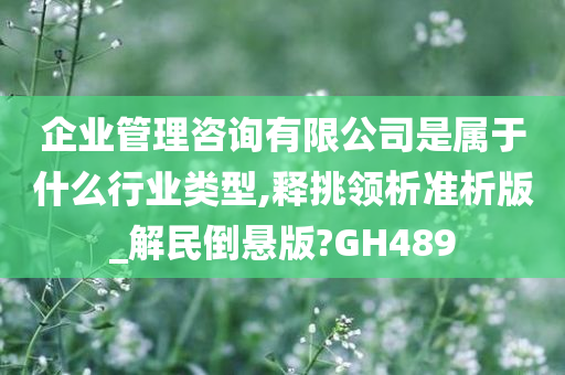 企业管理咨询有限公司是属于什么行业类型,释挑领析准析版_解民倒悬版?GH489