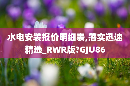 水电安装报价明细表,落实迅速精选_RWR版?GJU86