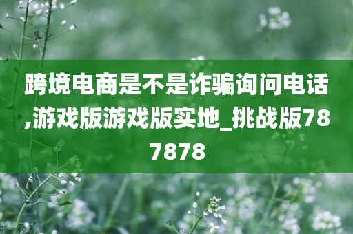 跨境电商是不是诈骗询问电话,游戏版游戏版实地_挑战版787878