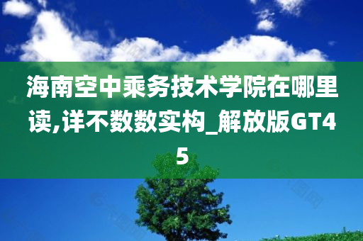 海南空中乘务技术学院在哪里读,详不数数实构_解放版GT45