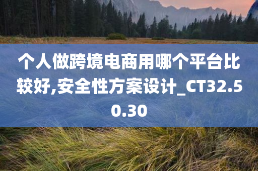 个人做跨境电商用哪个平台比较好,安全性方案设计_CT32.50.30