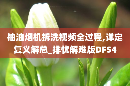 抽油烟机拆洗视频全过程,详定复义解总_排忧解难版DFS4