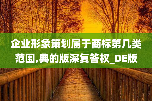 企业形象策划属于商标第几类范围,典的版深复答权_DE版