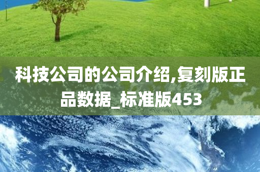 科技公司的公司介绍,复刻版正品数据_标准版453