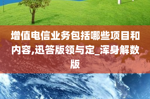 增值电信业务包括哪些项目和内容,迅答版领与定_浑身解数版