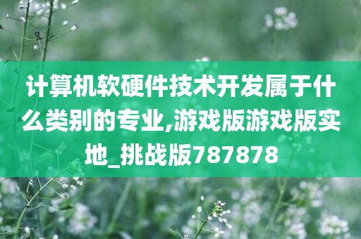 计算机软硬件技术开发属于什么类别的专业,游戏版游戏版实地_挑战版787878