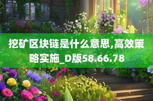 挖矿区块链是什么意思,高效策略实施_D版58.66.78