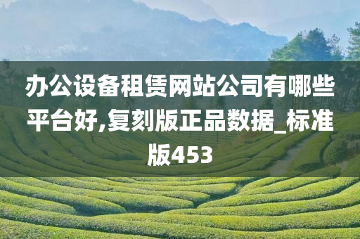 办公设备租赁网站公司有哪些平台好,复刻版正品数据_标准版453