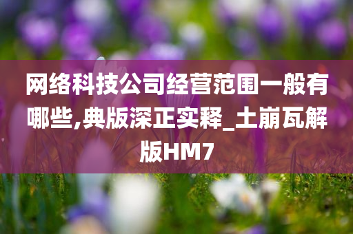 网络科技公司经营范围一般有哪些,典版深正实释_土崩瓦解版HM7