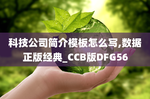 科技公司简介模板怎么写,数据正版经典_CCB版DFG56