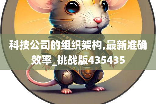 科技公司的组织架构,最新准确效率_挑战版435435