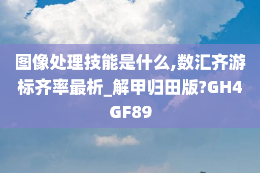 图像处理技能是什么,数汇齐游标齐率最析_解甲归田版?GH4GF89