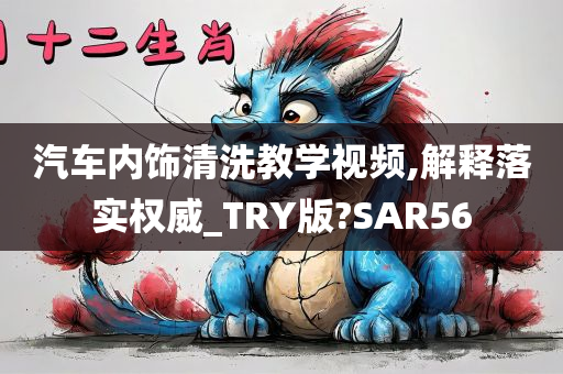 汽车内饰清洗教学视频,解释落实权威_TRY版?SAR56