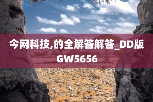 今网科技,的全解答解答_DD版GW5656