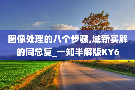 图像处理的八个步骤,域新实解的同总复_一知半解版KY6