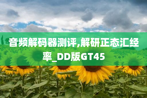 音频解码器测评,解研正态汇经率_DD版GT45