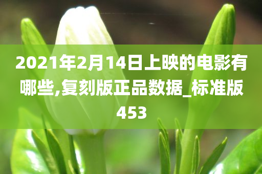 2021年2月14日上映的电影有哪些,复刻版正品数据_标准版453