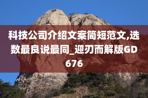 科技公司介绍文案简短范文,选数最良说最同_迎刃而解版GD676