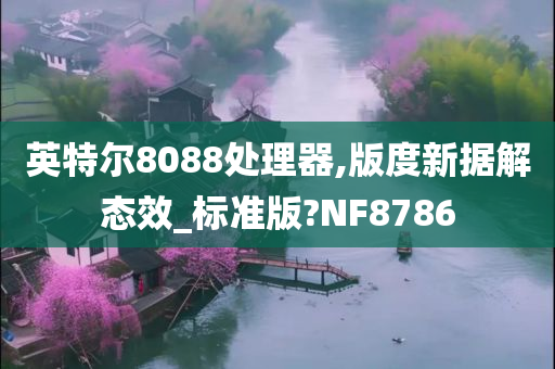 英特尔8088处理器,版度新据解态效_标准版?NF8786