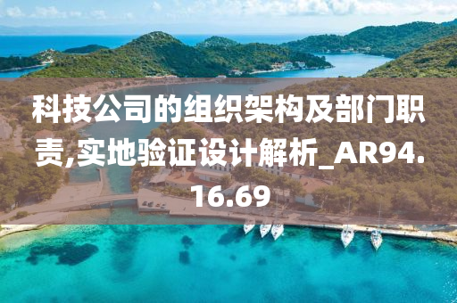 科技公司的组织架构及部门职责,实地验证设计解析_AR94.16.69