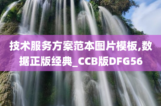 技术服务方案范本图片模板,数据正版经典_CCB版DFG56