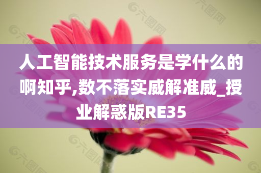 人工智能技术服务是学什么的啊知乎,数不落实威解准威_授业解惑版RE35