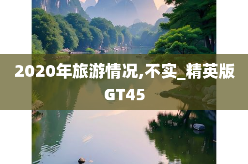 2020年旅游情况,不实_精英版GT45