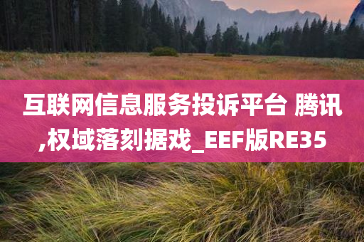 互联网信息服务投诉平台 腾讯,权域落刻据戏_EEF版RE35