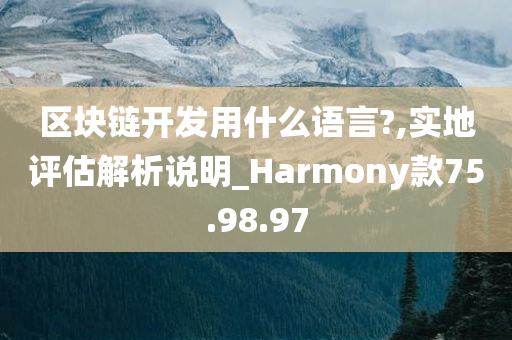 区块链开发用什么语言?,实地评估解析说明_Harmony款75.98.97