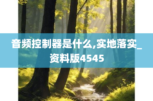 音频控制器是什么,实地落实_资料版4545