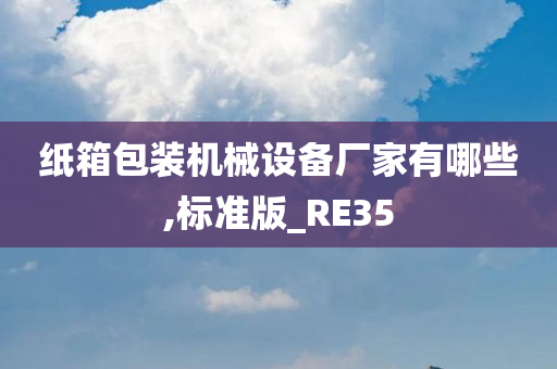 纸箱包装机械设备厂家有哪些,标准版_RE35