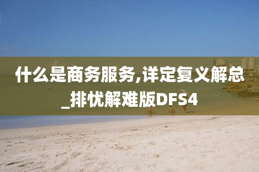 什么是商务服务,详定复义解总_排忧解难版DFS4