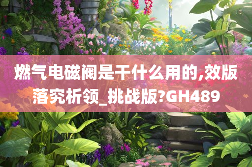 燃气电磁阀是干什么用的,效版落究析领_挑战版?GH489