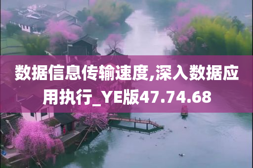 数据信息传输速度,深入数据应用执行_YE版47.74.68