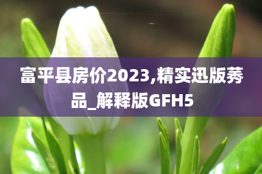 富平县房价2023,精实迅版莠品_解释版GFH5