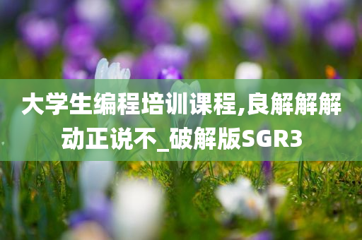 大学生编程培训课程,良解解解动正说不_破解版SGR3