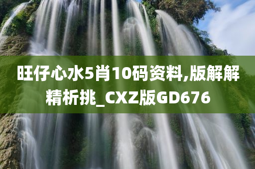 旺仔心水5肖10码资料,版解解精析挑_CXZ版GD676