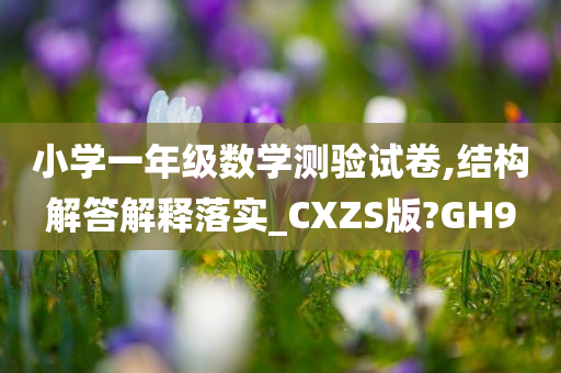 小学一年级数学测验试卷,结构解答解释落实_CXZS版?GH9